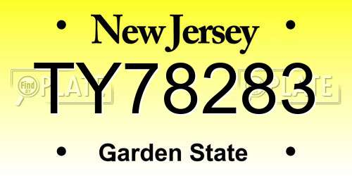 TY78283 New Jersey License Plate
