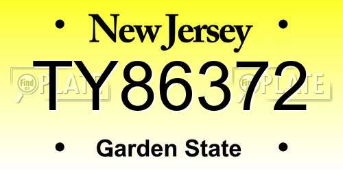TY86372 New Jersey License Plate