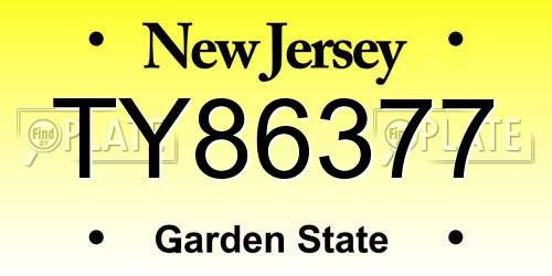 TY86377 New Jersey License Plate