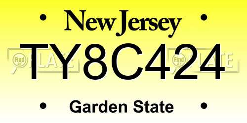 TY8C424 New Jersey License Plate