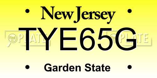 TYE65G New Jersey License Plate