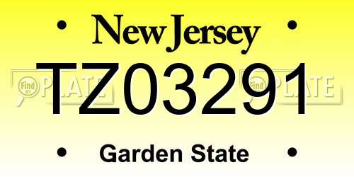 TZ03291 New Jersey License Plate