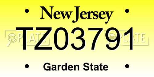 TZ03791 New Jersey License Plate