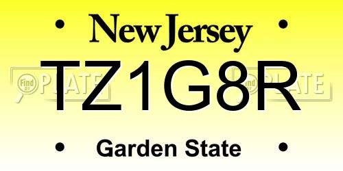 TZ1G8R New Jersey License Plate