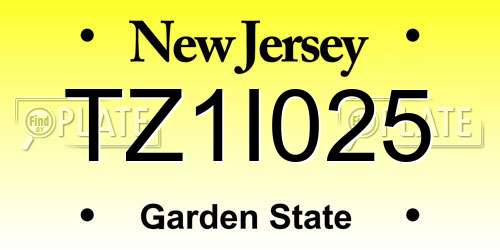 TZ1I025 New Jersey License Plate