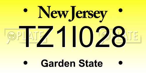 TZ1I028 New Jersey License Plate