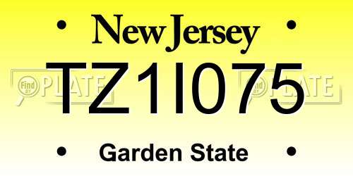 TZ1I075 New Jersey License Plate