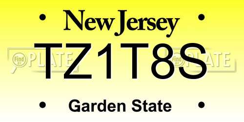 TZ1T8S New Jersey License Plate