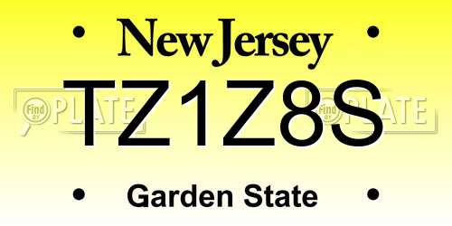 TZ1Z8S New Jersey License Plate