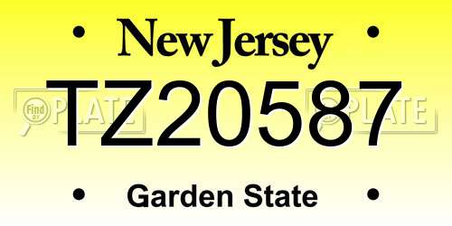 TZ20587 New Jersey License Plate