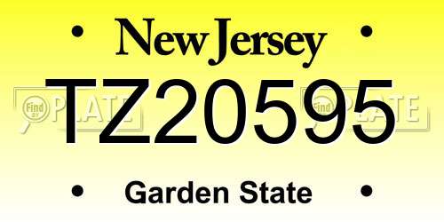 TZ20595 New Jersey License Plate