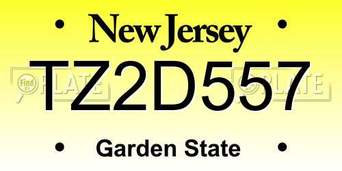 TZ2D557 New Jersey License Plate