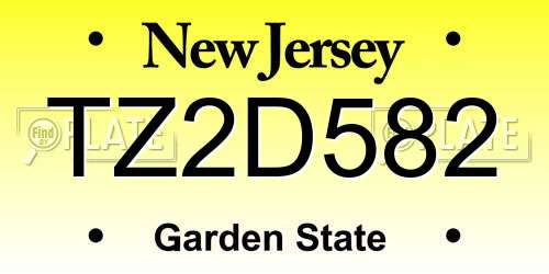 TZ2D582 New Jersey License Plate