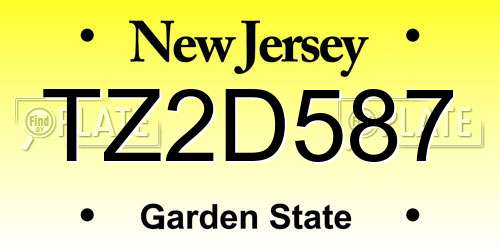 TZ2D587 New Jersey License Plate