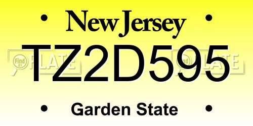 TZ2D595 New Jersey License Plate