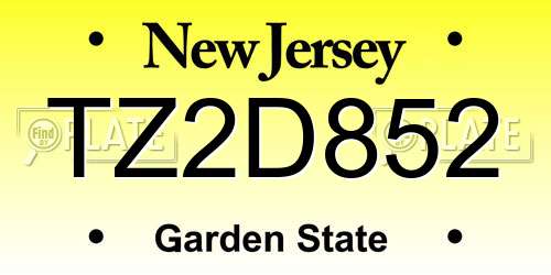 TZ2D852 New Jersey License Plate