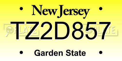 TZ2D857 New Jersey License Plate