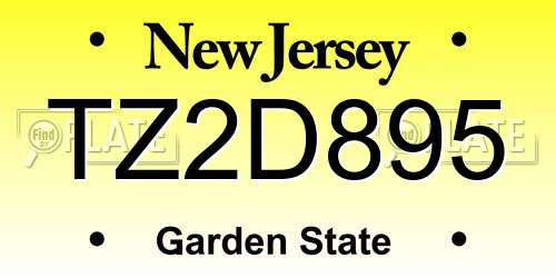 TZ2D895 New Jersey License Plate