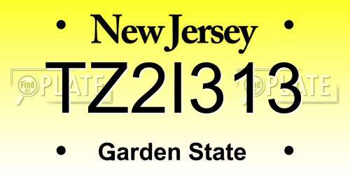 TZ2I313 New Jersey License Plate