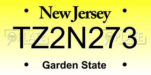 TZ2N273 New Jersey License Plate