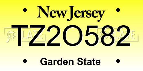 TZ2O582 New Jersey License Plate