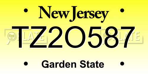TZ2O587 New Jersey License Plate
