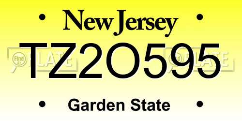 TZ2O595 New Jersey License Plate