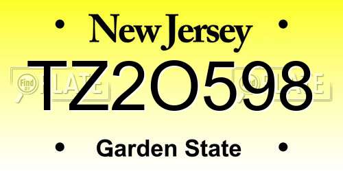 TZ2O598 New Jersey License Plate