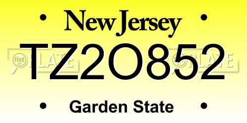TZ2O852 New Jersey License Plate