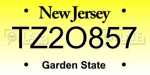 TZ2O857 New Jersey License Plate
