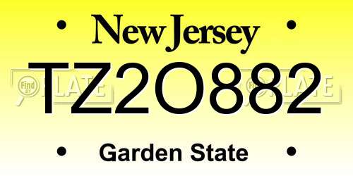 TZ2O882 New Jersey License Plate