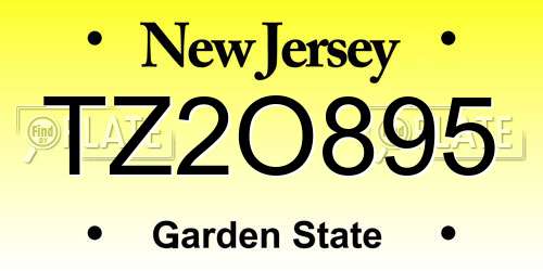 TZ2O895 New Jersey License Plate