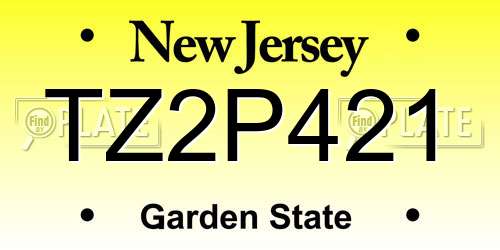 TZ2P421 New Jersey License Plate