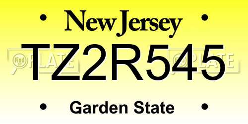 TZ2R545 New Jersey License Plate