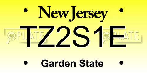 TZ2S1E New Jersey License Plate