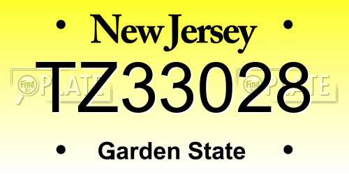 TZ33028 New Jersey License Plate