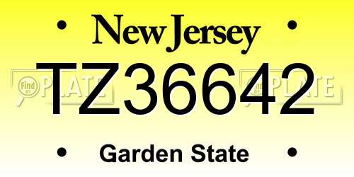 TZ36642 New Jersey License Plate