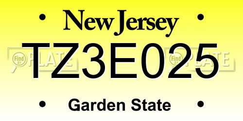 TZ3E025 New Jersey License Plate