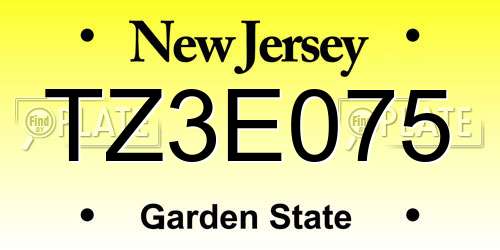 TZ3E075 New Jersey License Plate
