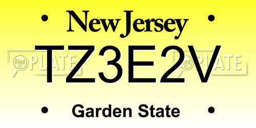 TZ3E2V New Jersey License Plate