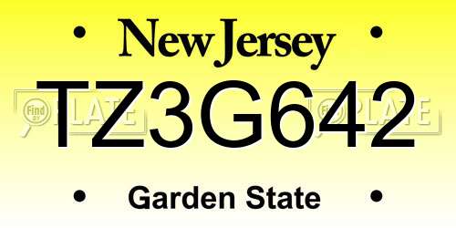 TZ3G642 New Jersey License Plate