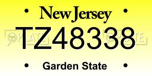 TZ48338 New Jersey License Plate