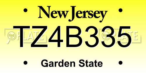 TZ4B335 New Jersey License Plate