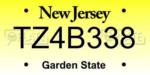 TZ4B338 New Jersey License Plate