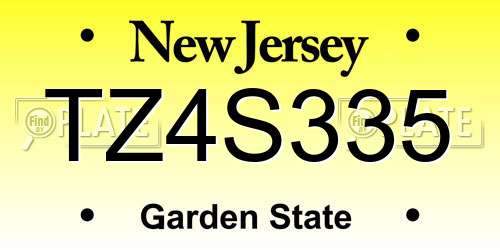 TZ4S335 New Jersey License Plate