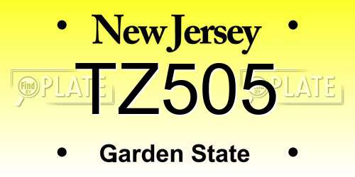TZ505 New Jersey License Plate