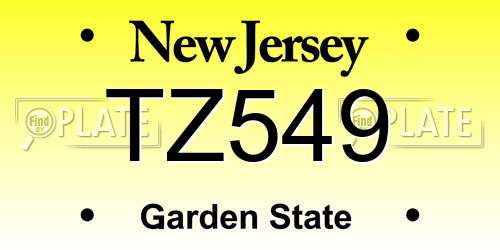 TZ549 New Jersey License Plate
