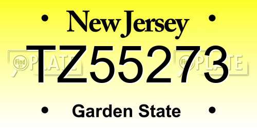 TZ55273 New Jersey License Plate