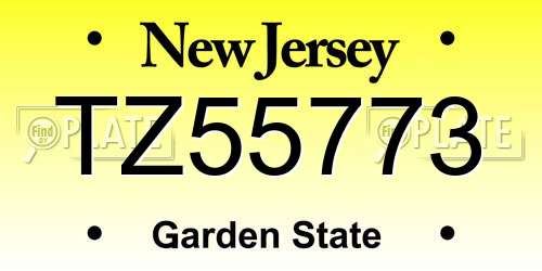 TZ55773 New Jersey License Plate