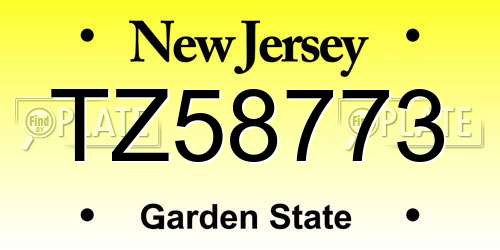 TZ58773 New Jersey License Plate